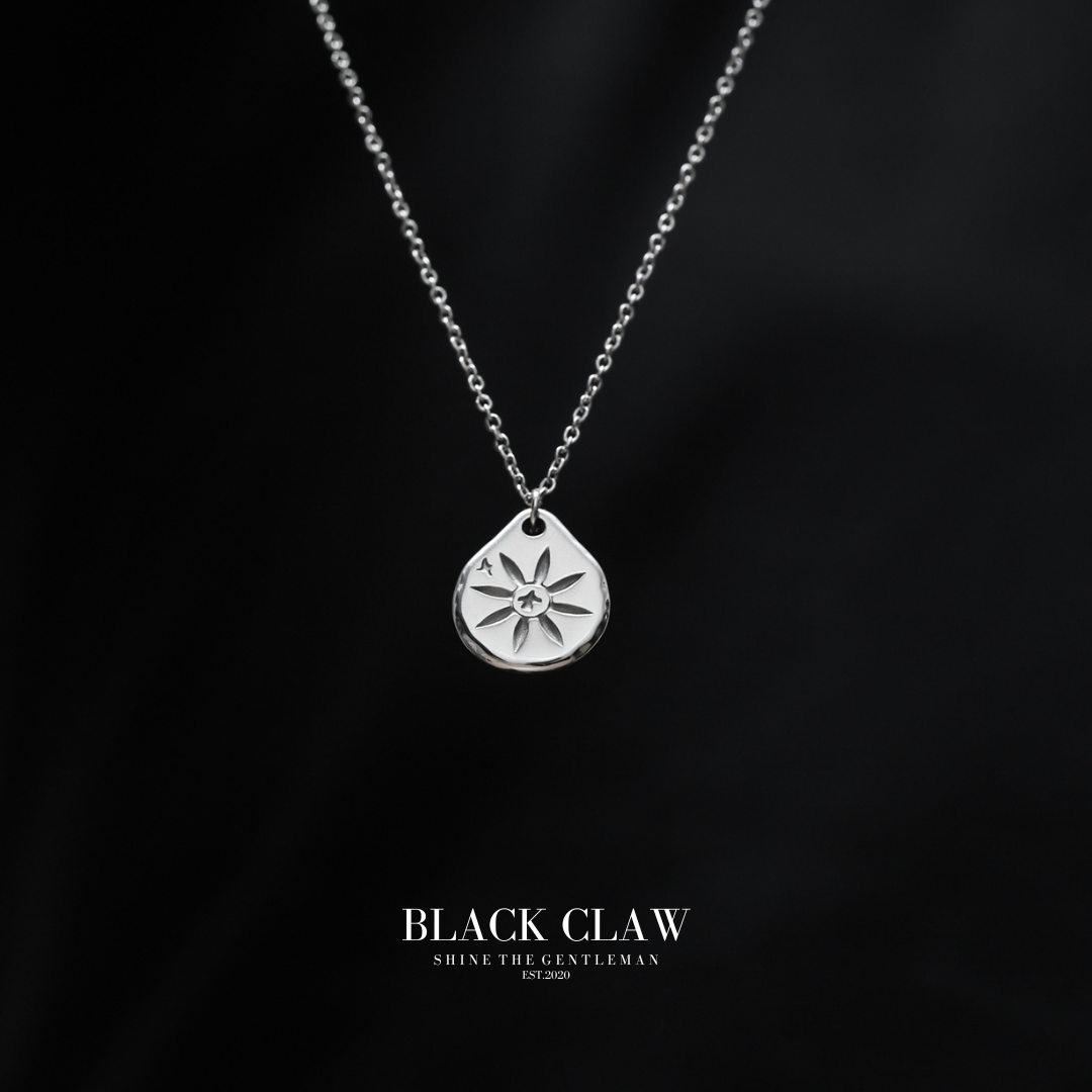 316L Hawks Coin Necklace