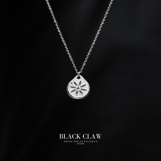 316L Hawks Coin Necklace