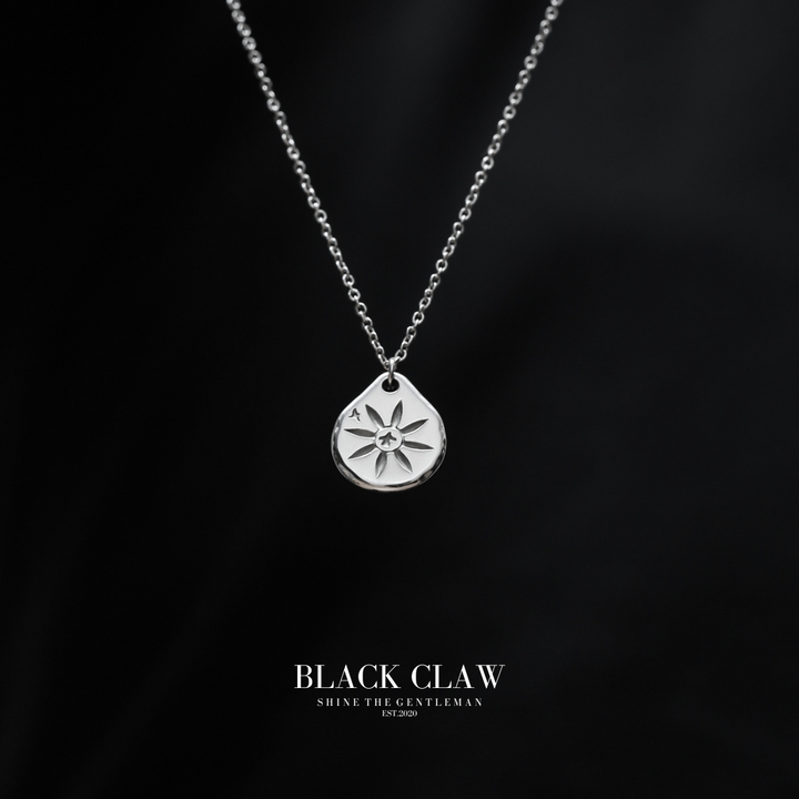 316L Hawks Coin Necklace