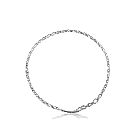 316L Klaue Necklace