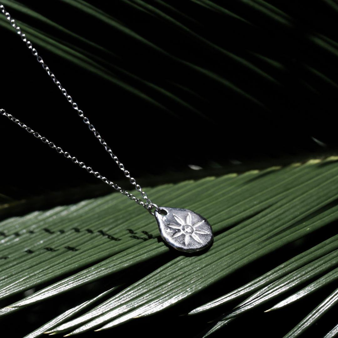 316L Hawks Coin Necklace