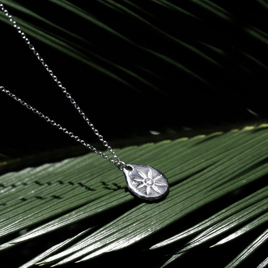 316L Hawks Coin Necklace