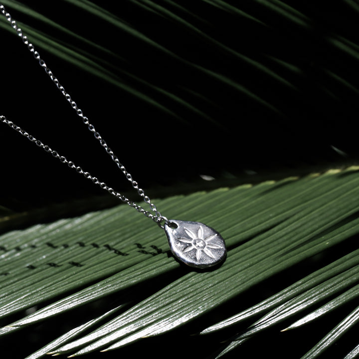 316L Hawks Coin Necklace