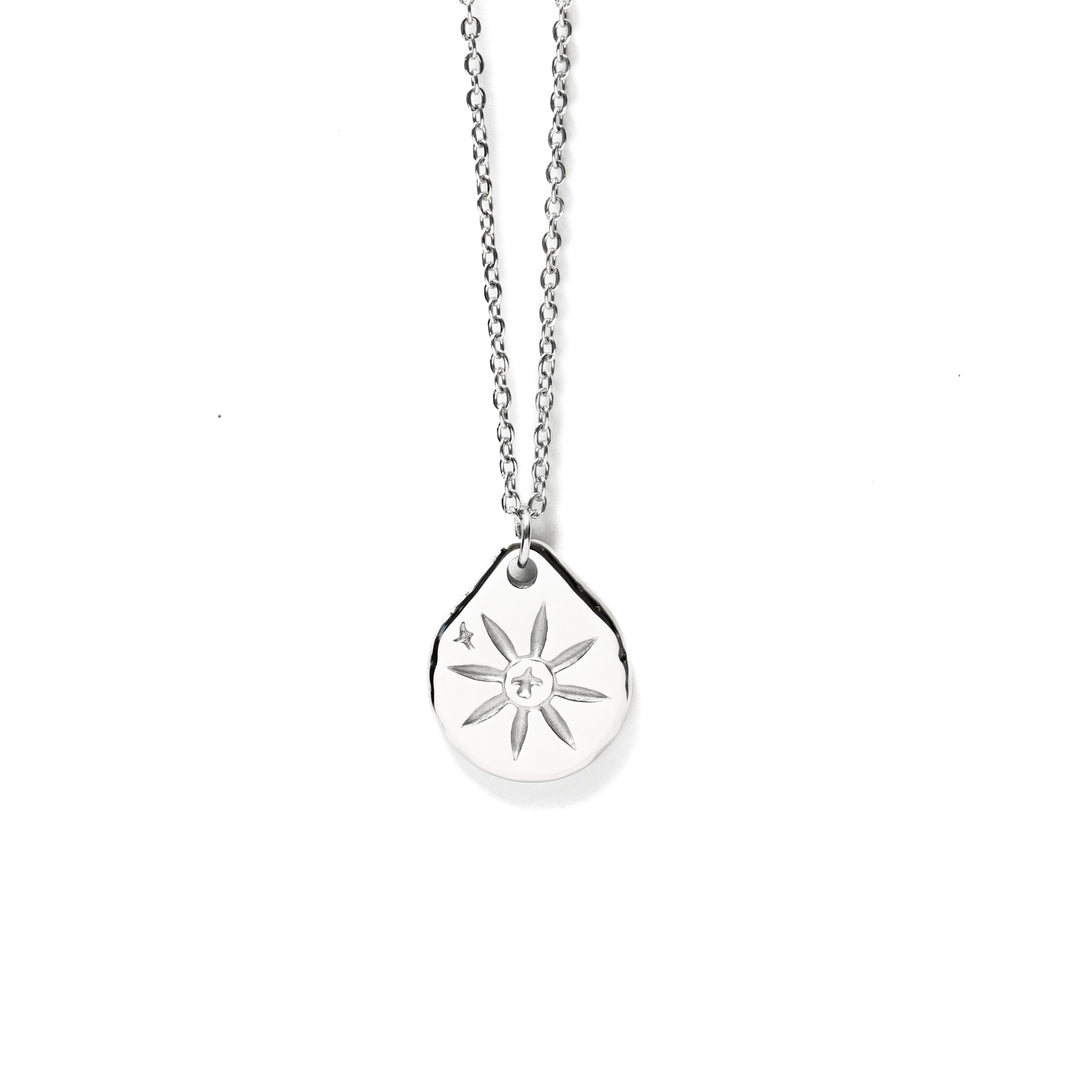 316L Hawks Coin Necklace