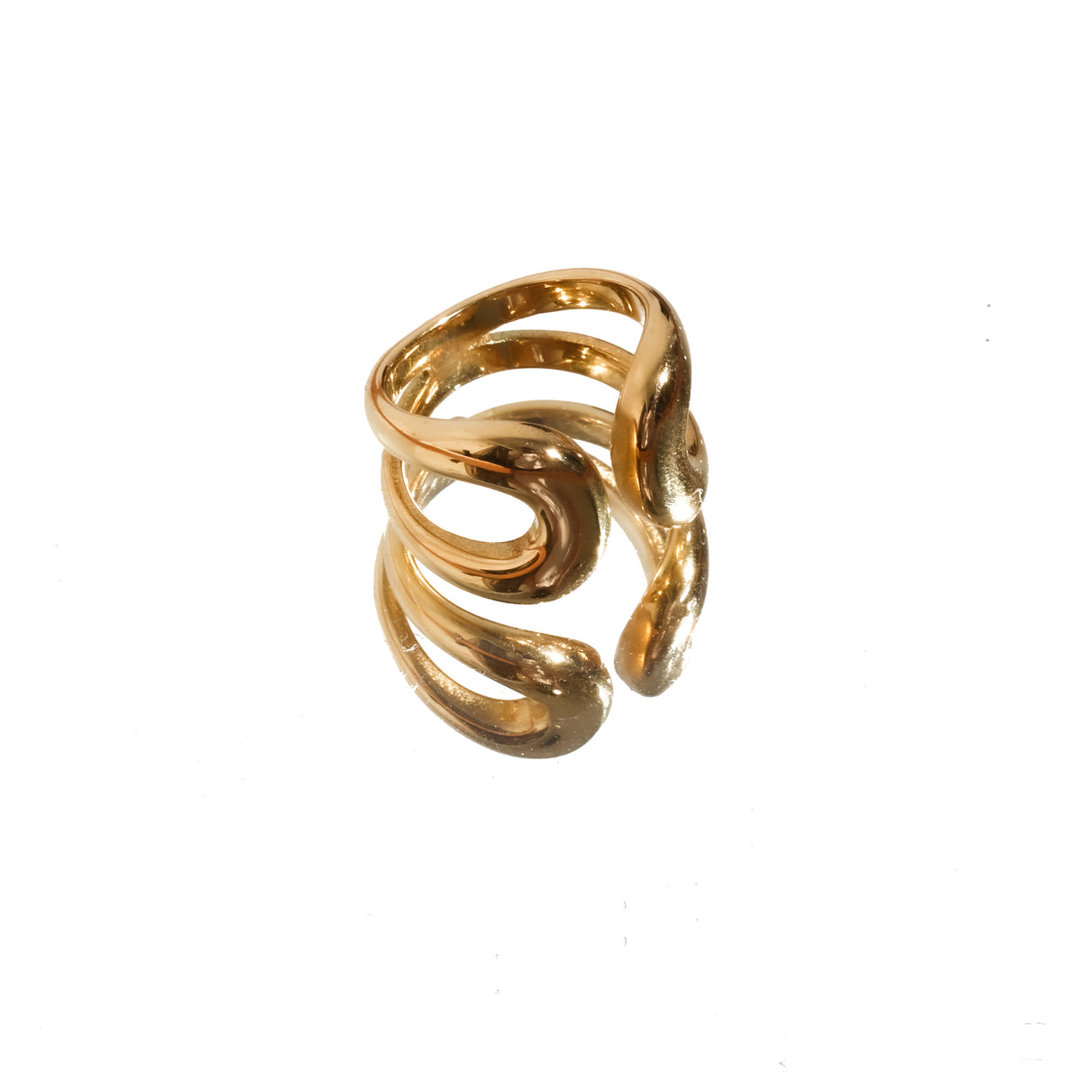 316L  Horseshoe Ring